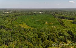 Hardy Rd, Georgetown, MS 39078