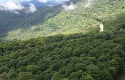 6181 Cass Road, Slatyfork, WV 26291