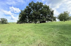 Tbd 2 Montgomery Road, Bogue Chitto, MS 39629