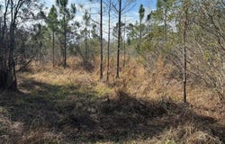 Old Grade Road, FL 33868