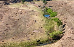 4 CR 82, Wellington, CO 80549