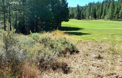 1175 Great Spirit lot: 388, Portola, CA 96122