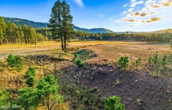 1A FOREST ROAD 26, Alpine, AZ 85920