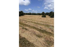 186 CR 346, Piggott, AR 72454