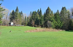 County H26 Road, Rock, MI 49880