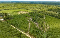 4920 Richardson Rd, Molino, FL 32577