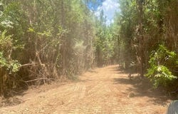 Archie Boyd Road, Jayess, MS 39641