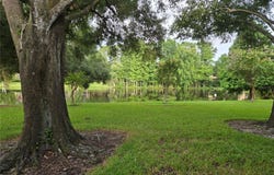 11805 SKYLAKE Place, TAMPA, FL 33617