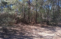 Williamson Road, Chunchula, AL 36521
