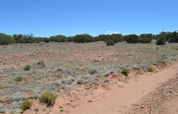 N8604, Concho, AZ 85924