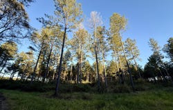 Christian Rd, McCormick, SC 29835