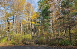 Birch Lane, Clayton, NY 13624