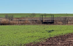 FM 422, Seymour, TX 76380