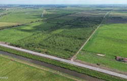 S Hwy 82, Abbeville, LA 70510