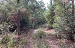 500 Pond Creek Rd, LUVERNE, AL 36049