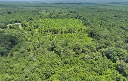 377 County Road 141, Jasper, TX 75951