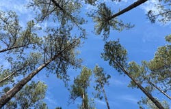 New Hope Road, Wiggins, MS 39577