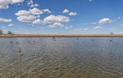 38250 County Road 170, Agate, CO 80101
