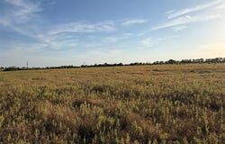 N Hickory Rd, Krum, TX 76249