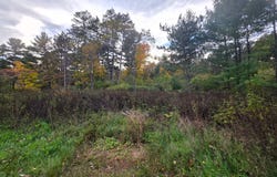 MCKINLEY ST lot: 4-5, Tomahawk, WI 54487