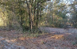 160 PUTNAM LOOP Road, Melrose, FL 32666