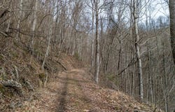 LT 34 Catnip Rd, Cullowhee, NC 28723