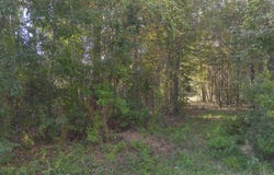 9524 Kale Place, Diamondhead, MS 39525