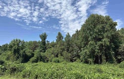 corinth Road, Gaffney, SC 29340-5529