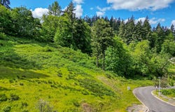 Aerie Park Pl, Eugene, OR 97405
