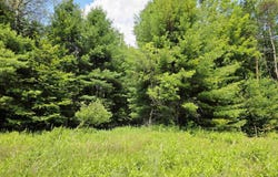 2085 State Highway 72, Potsdam, NY 13676