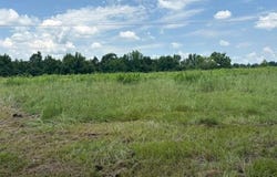 439 Nevada 298, Prescott, AR 71857