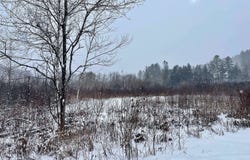 Gilman Road, Lyndon, VT 05851