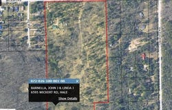 6595 Wickert Road, Hale, MI 48739