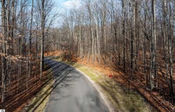 158 Forest Highlands, Bellaire, MI 49615