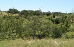 0003 CR 146, Brady, TX 76825