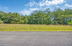 Daddys Creek Tr, Crab Orchard, TN 37723