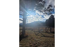 8152 Pine Dr, Rye, CO 81069