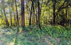 24 Baltimore Road, Riegelwood, NC 28456