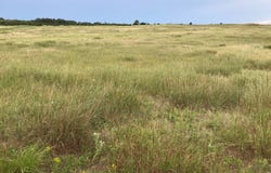 S Homestead Road, North Platte, NE 69101
