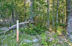 Pretty Marsh Road, Mount Desert, ME 04660