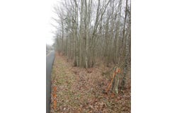 966 Cox Road, Sequatchie, TN 37374