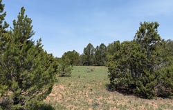 7 GILA Dr, Quemado, NM 87829
