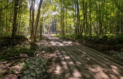 1060 Deer Run Rd., Hancock, NY 13783