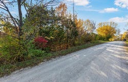 Wolfe Street, Excelsior Springs, MO 64024