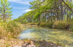 950 River Road, Utopia, TX 78884