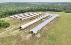 2065 County Road 6, Black, AL 36344
