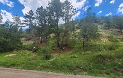 Streamside Dr, Glen Haven, CO 80532