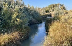 Hwy 32, Byron, WY 82412