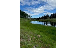TBD TBD, Placerville, CO 81430