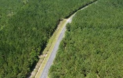 Farmington Road, Gable, SC 29051
